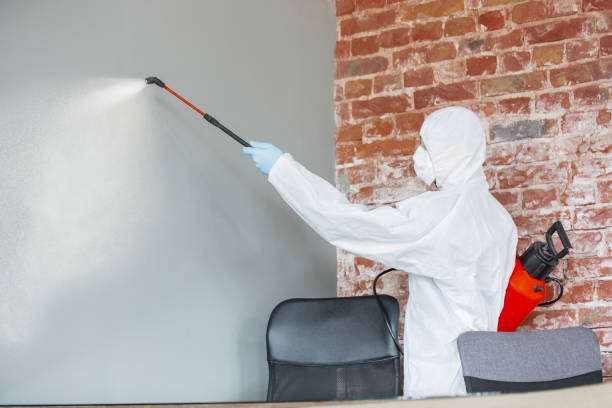 Mold Remediation for Rental Properties in Oak Ridge, TN