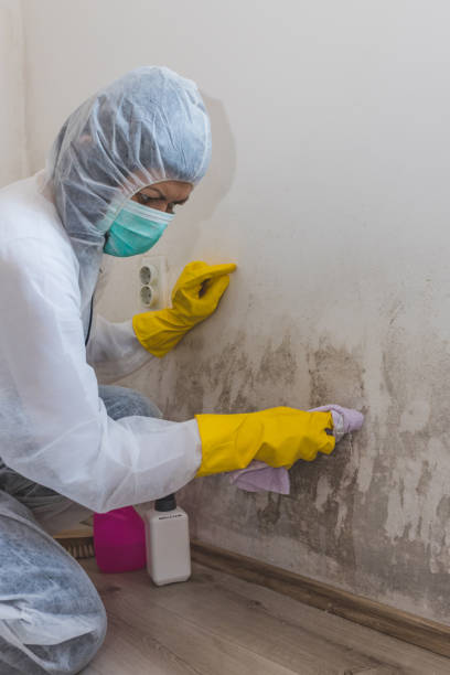 Best Commercial Mold Inspection  in Oak Ridge, TN