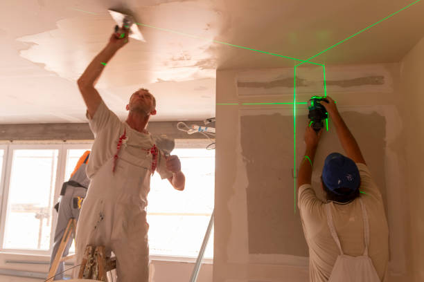 Reliable Oak Ridge, TN Mold Removal Solutions