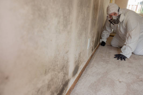Mold Removal for HVAC Installations in Oak Ridge, TN